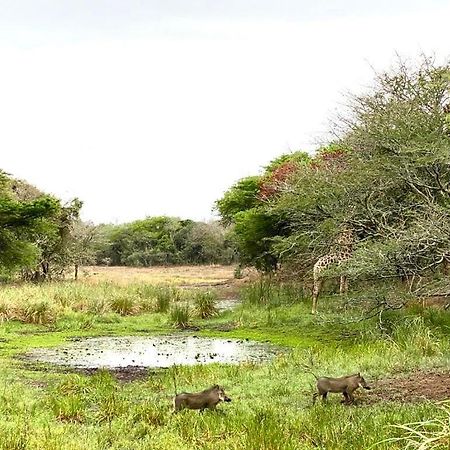 Hideaways Lazuli Bush Lodge, Hluhluwe Exterior foto