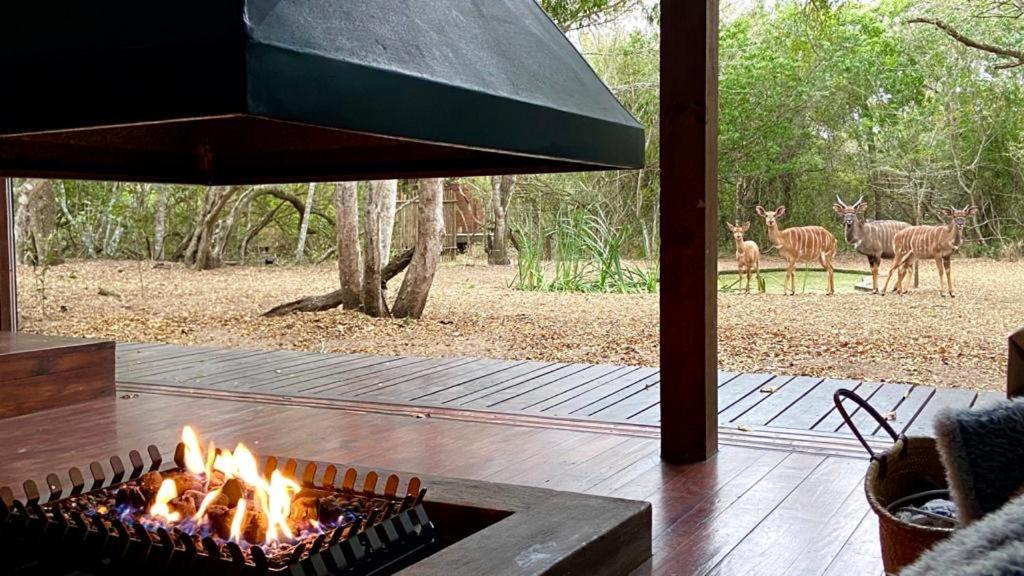 Hideaways Lazuli Bush Lodge, Hluhluwe Exterior foto